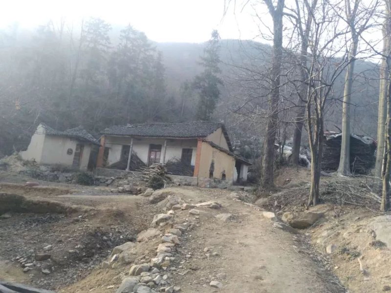 春风渐起，喜春网注册开启新旅程